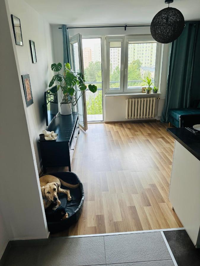 Pet'S House Warsaw Apartment Exterior photo